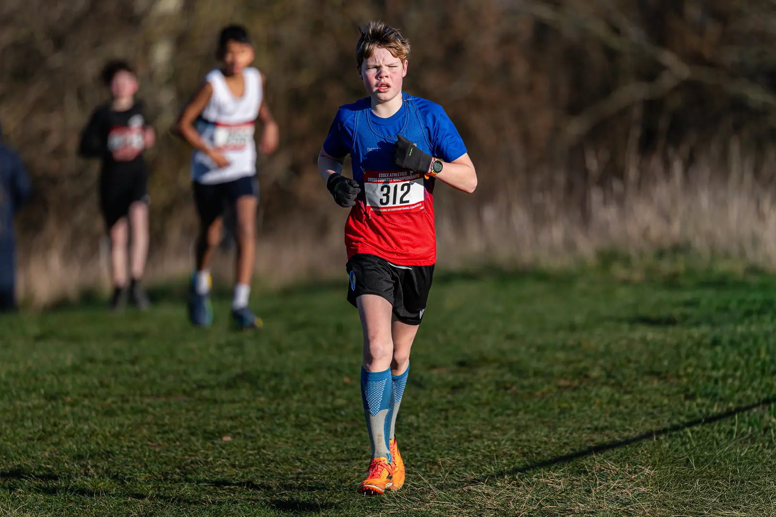 Brentwood Beagles athletes at the Essex County Cross Country Championships, Gloucester Park, Basildon, 3 January 2026