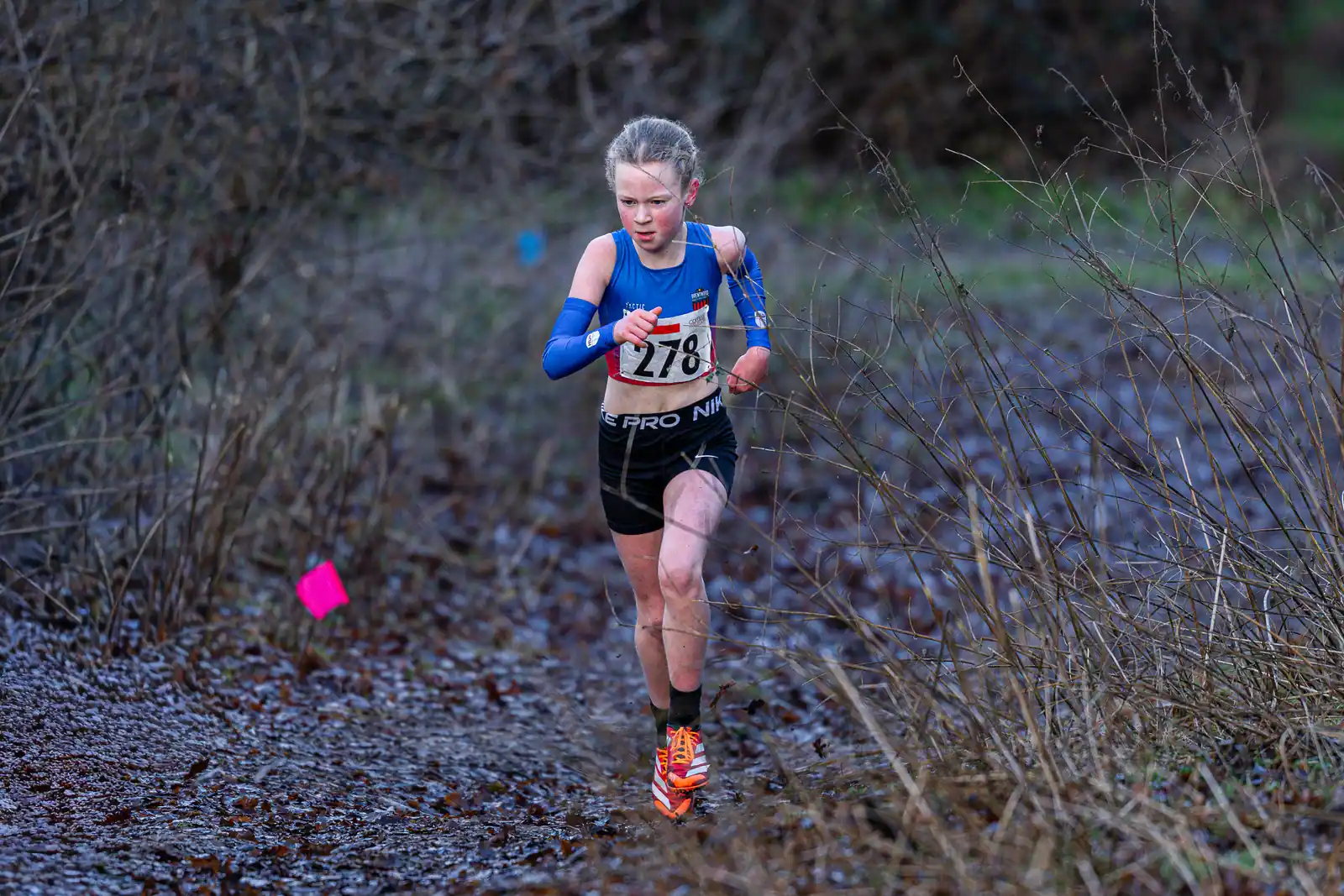 Brentwood Beagles athletes at the Essex League Cross Country, Hilly Fields, Colchester, 10 January 2026