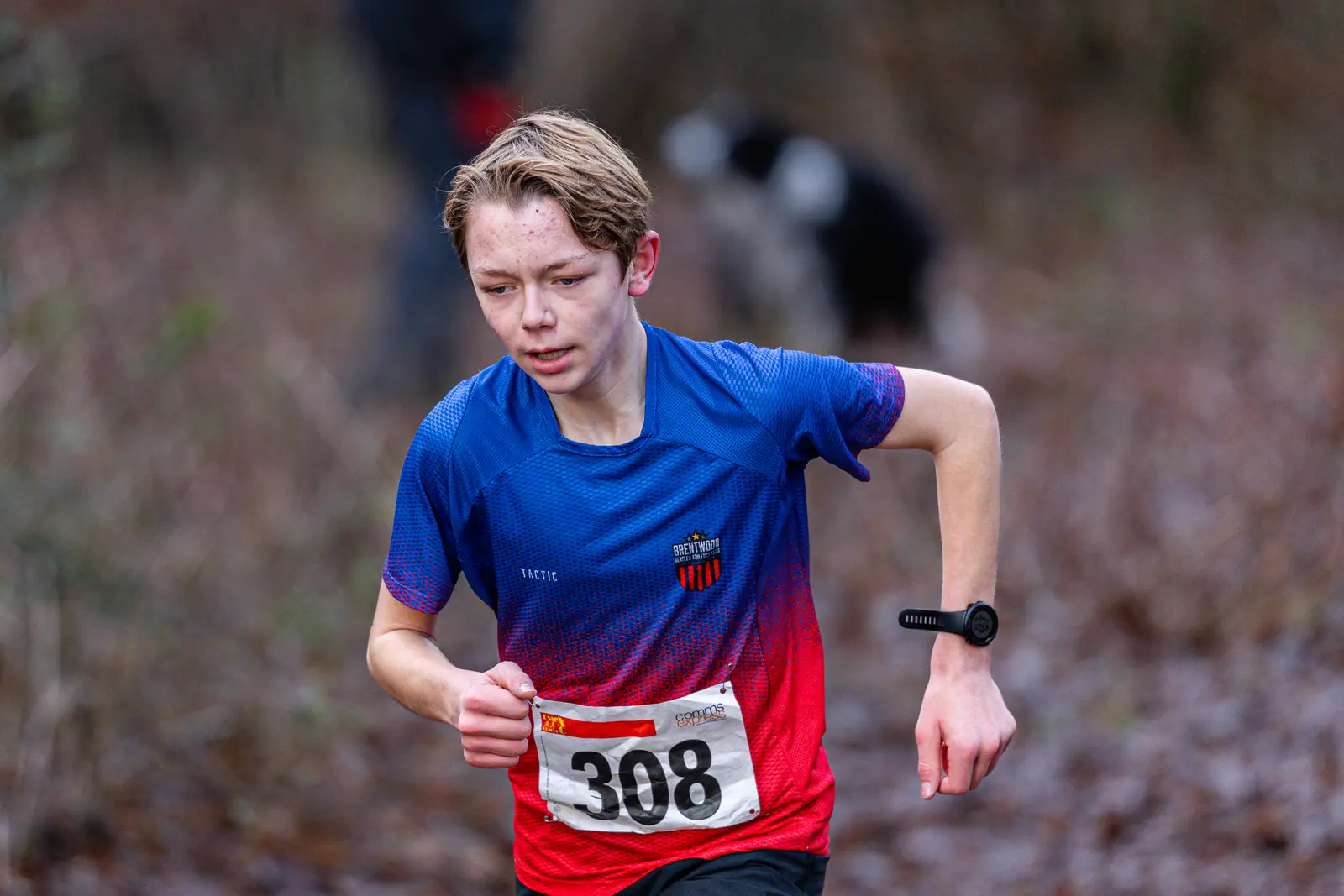 Brentwood Beagles athletes at the Essex League Cross Country, Hilly Fields, Colchester, 10 January 2026