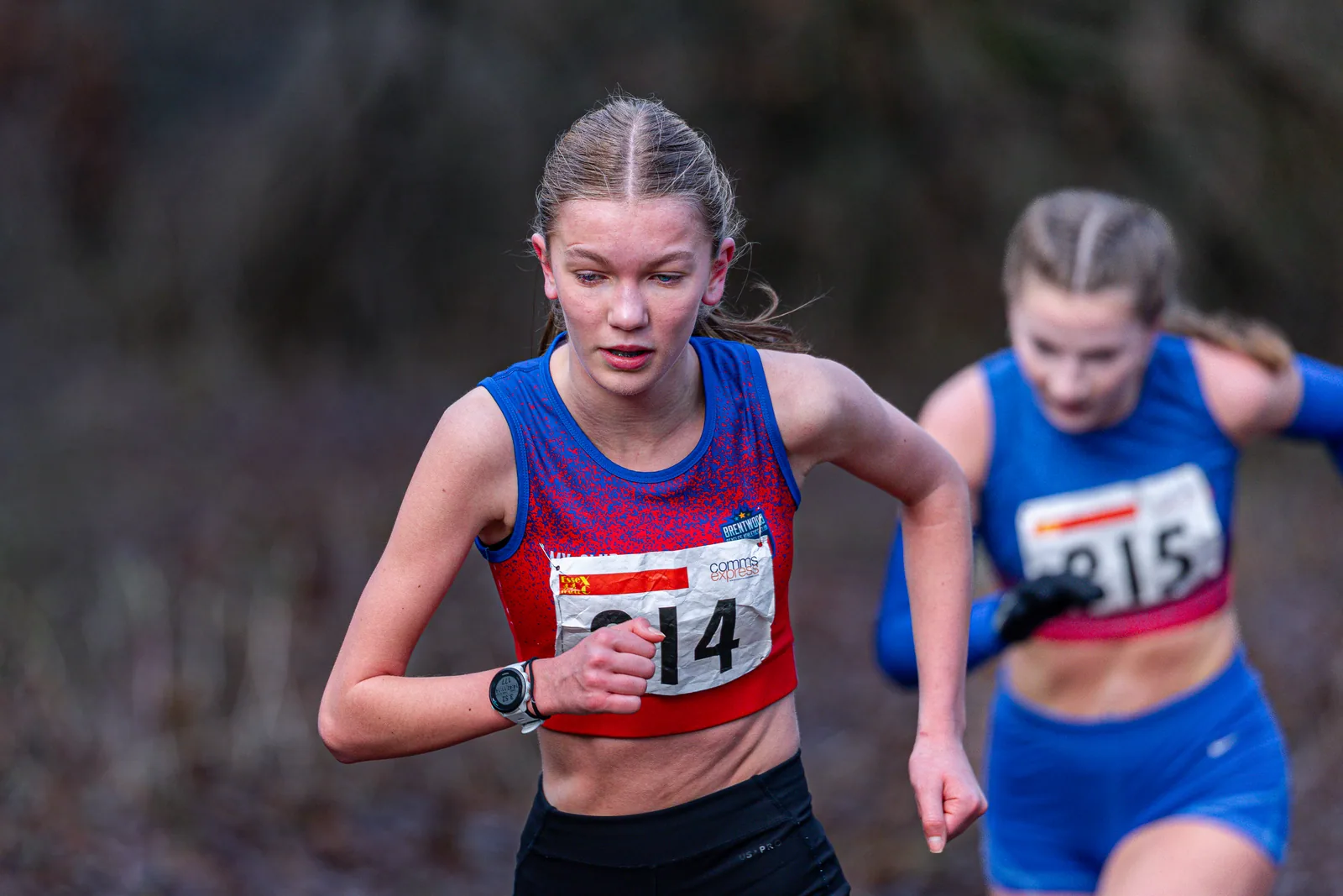 Brentwood Beagles athletes at the Essex League Cross Country, Hilly Fields, Colchester, 10 January 2026