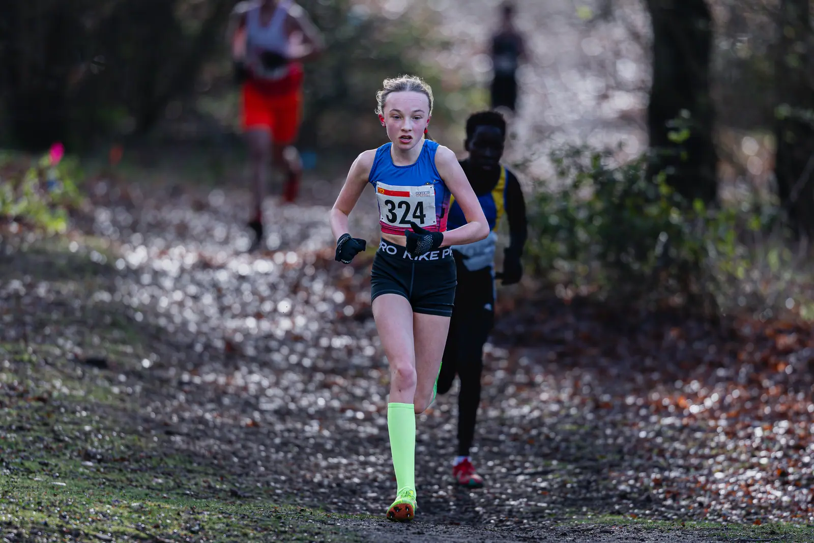 Brentwood Beagles athletes at the Essex League Cross Country, Hilly Fields, Colchester, 10 January 2026