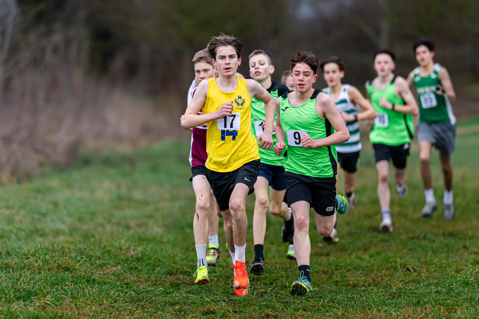 Brentwood Beagles athletes at the Essex Schools Cross Country Championships, Writtle, 17 January 2026