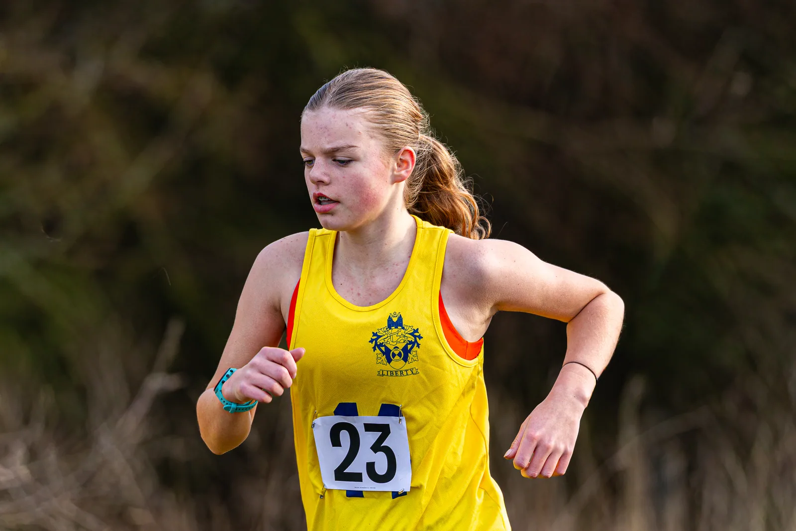 Brentwood Beagles athletes at the Essex Schools Cross Country Championships, Writtle, 17 January 2026