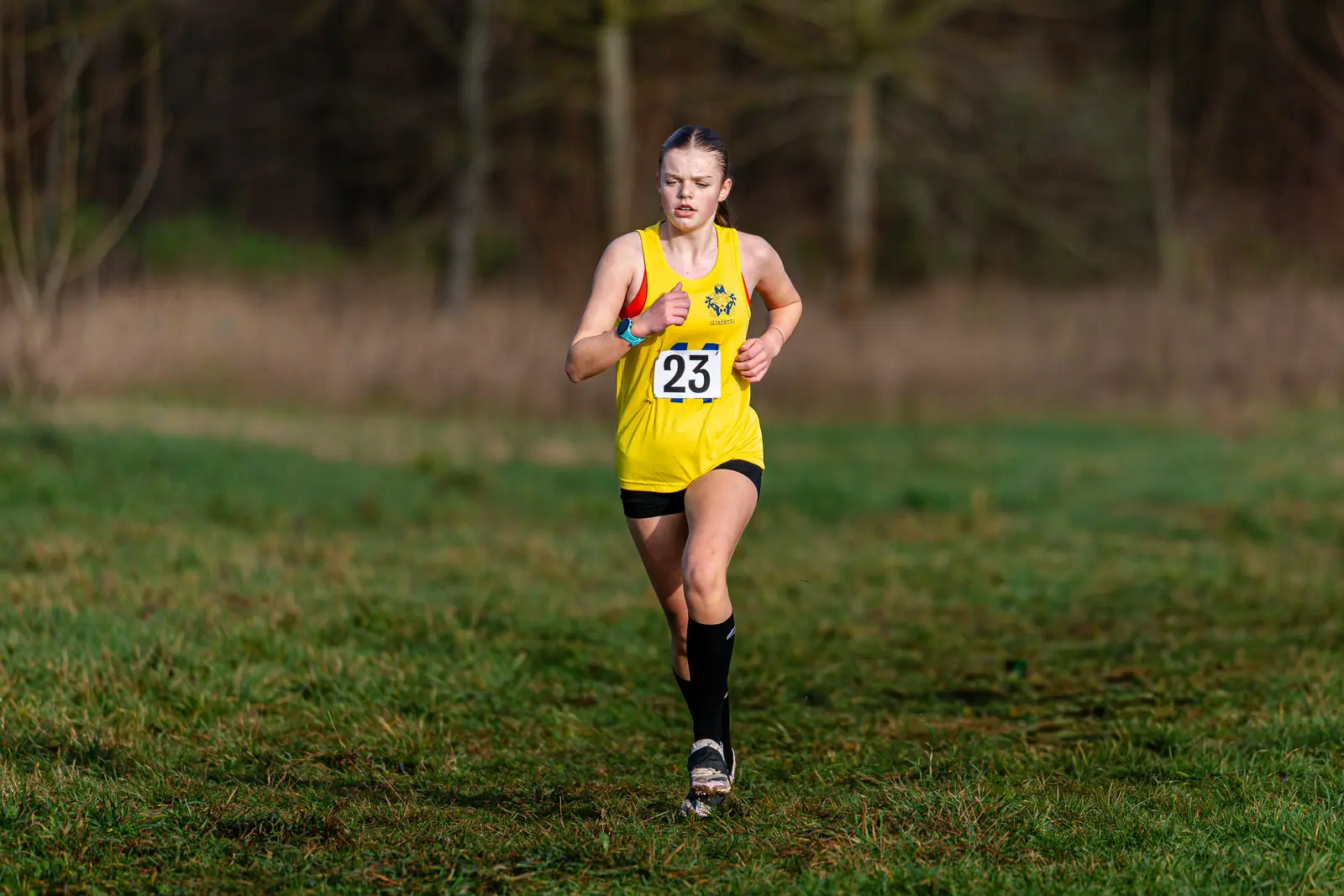 Brentwood Beagles athletes at the Essex Schools Cross Country Championships, Writtle, 17 January 2026