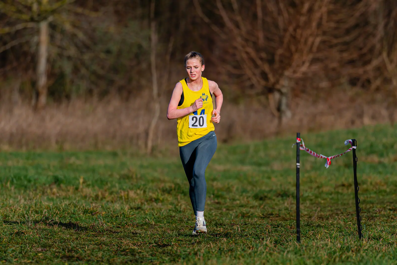Brentwood Beagles athletes at the Essex Schools Cross Country Championships, Writtle, 17 January 2026