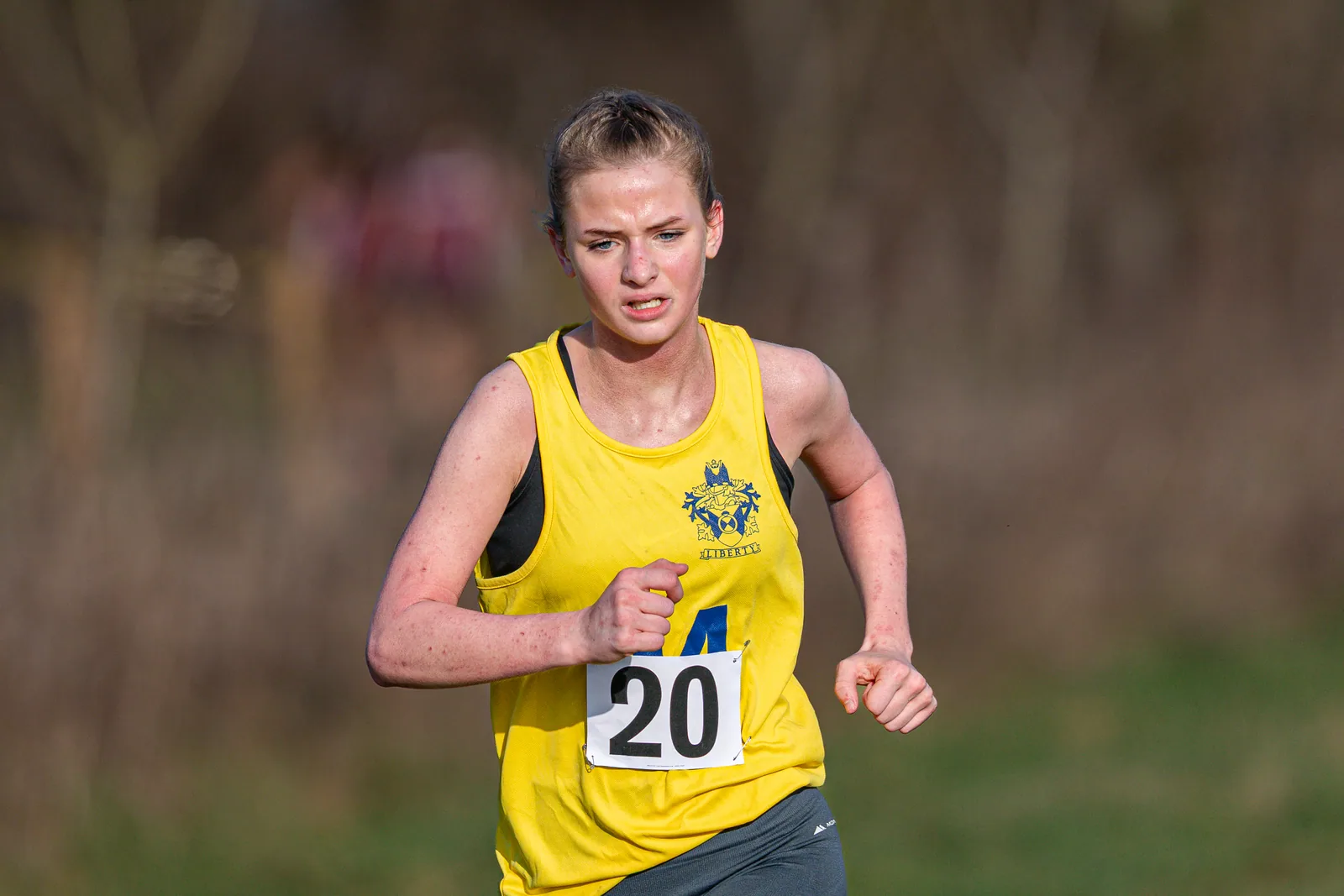 Brentwood Beagles athletes at the Essex Schools Cross Country Championships, Writtle, 17 January 2026