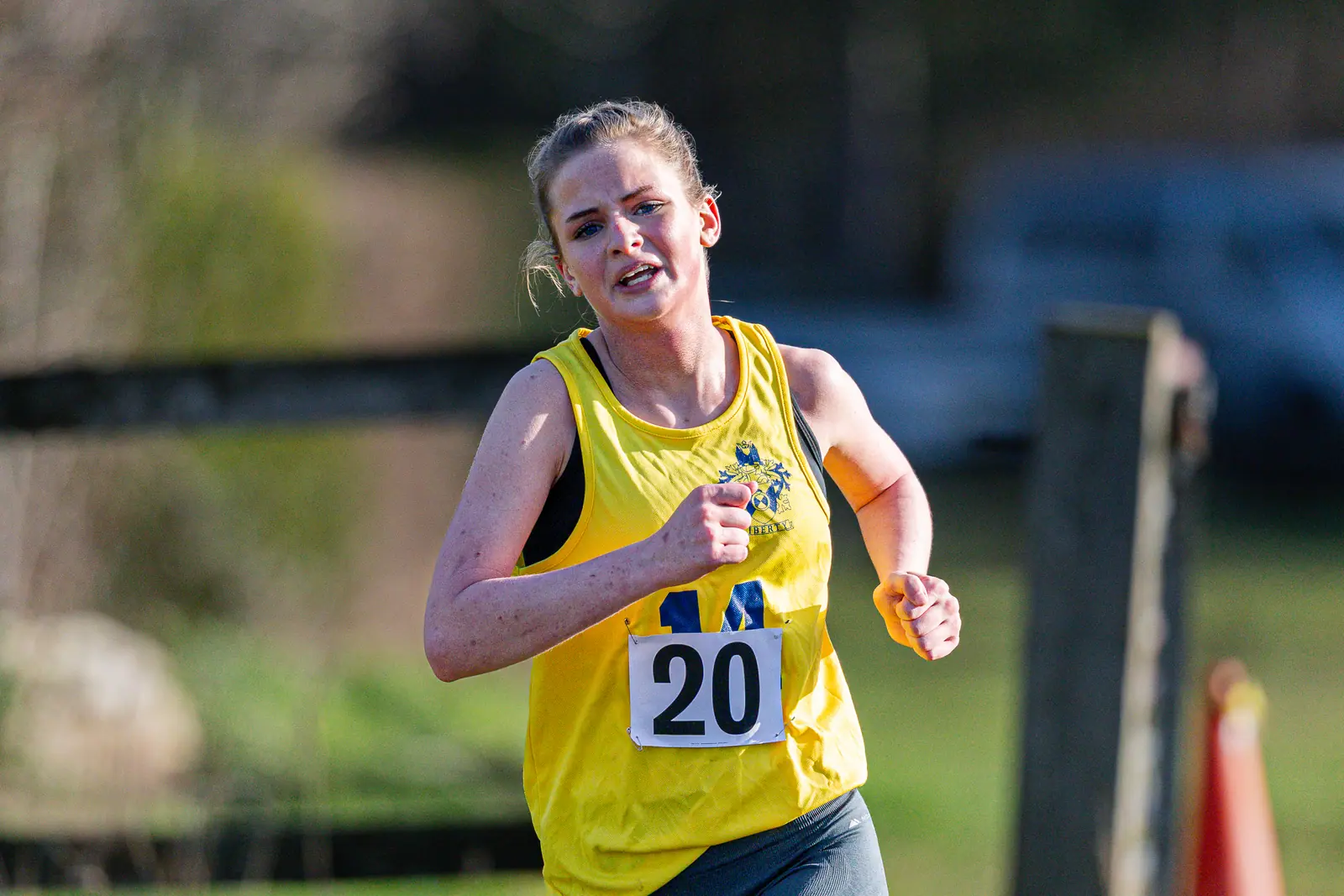 Brentwood Beagles athletes at the Essex Schools Cross Country Championships, Writtle, 17 January 2026