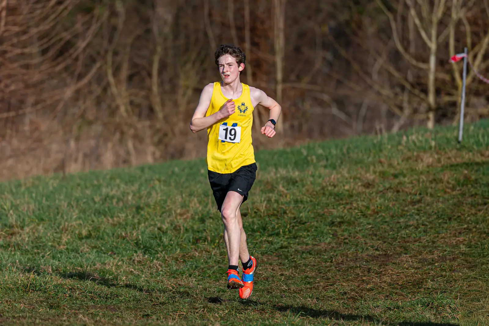 Brentwood Beagles athletes at the Essex Schools Cross Country Championships, Writtle, 17 January 2026