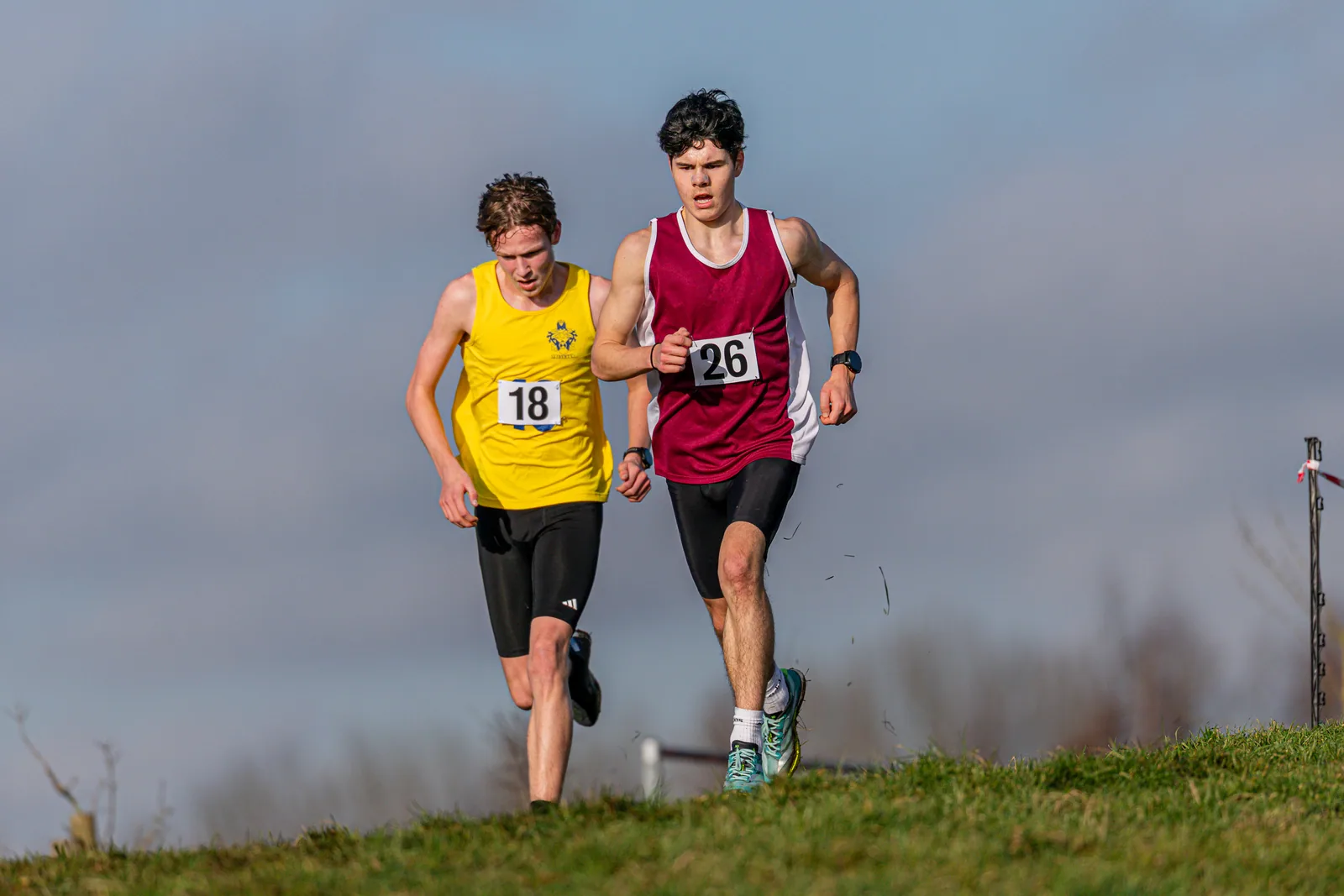 Brentwood Beagles athletes at the Essex Schools Cross Country Championships, Writtle, 17 January 2026
