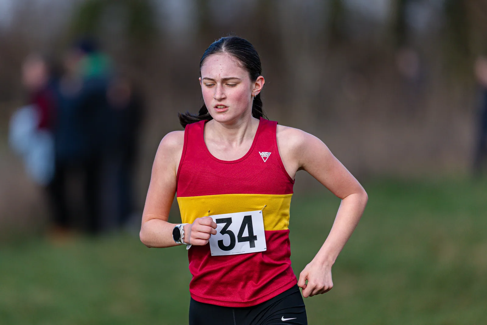 Brentwood Beagles athletes at the South East Schools Inter-counties Cross Country, Writtle, 31 January 2026