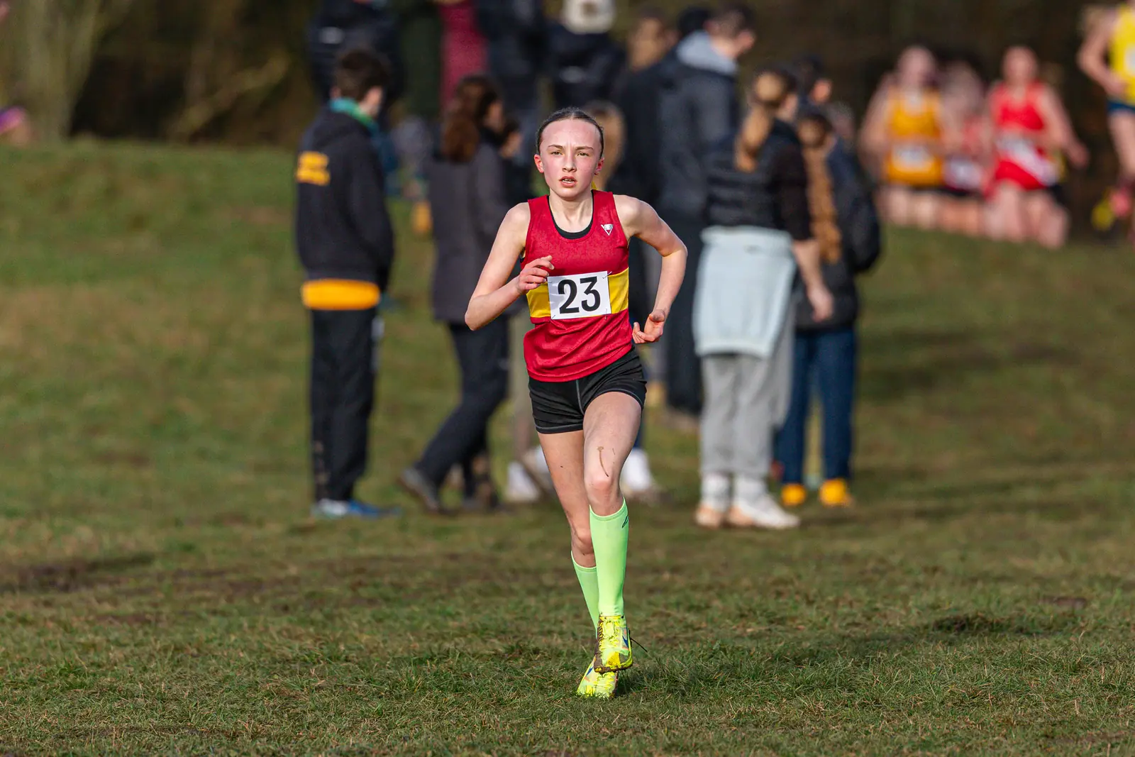 Brentwood Beagles athletes at the South East Schools Inter-counties Cross Country, Writtle, 31 January 2026