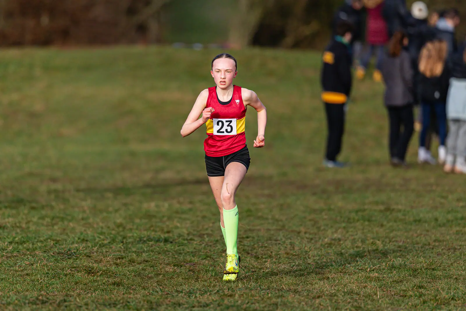 Brentwood Beagles athletes at the South East Schools Inter-counties Cross Country, Writtle, 31 January 2026