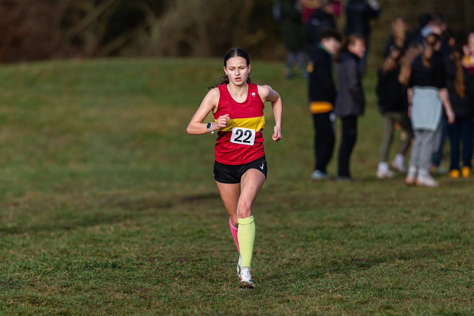 Brentwood Beagles athletes at the South East Schools Inter-counties Cross Country, Writtle, 31 January 2026