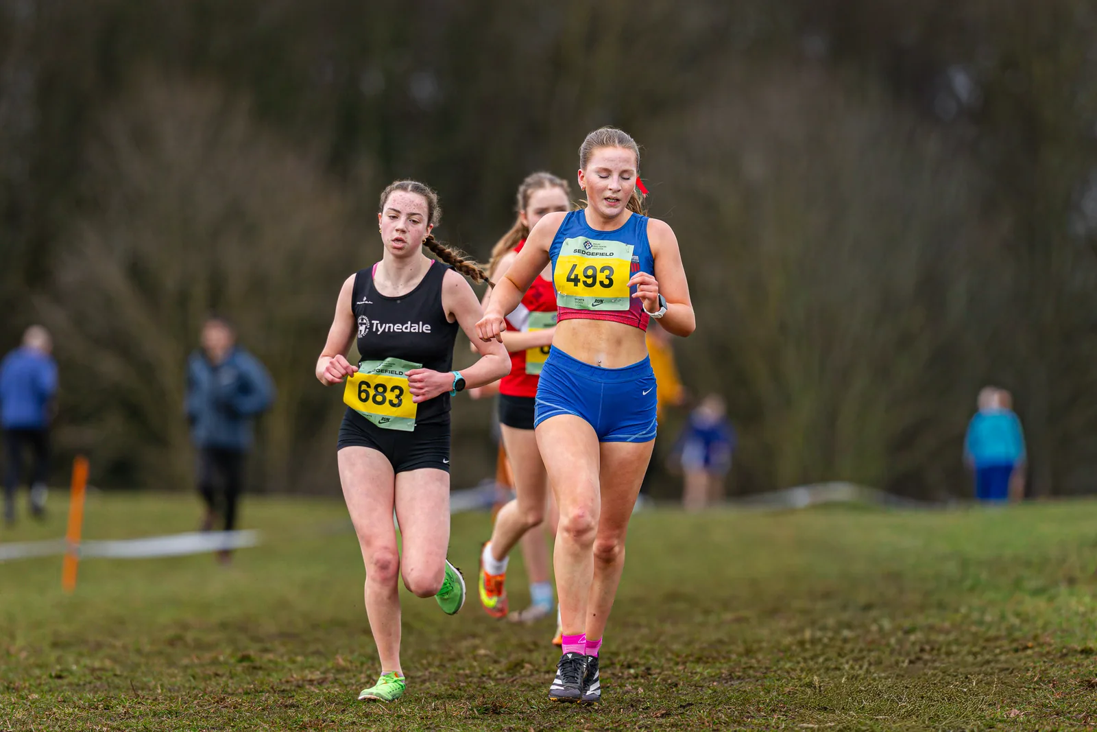 Brentwood Beagles athletes at the English Cross Country Association National Cross Country Championships, Sedgefield, 21 February 2026
