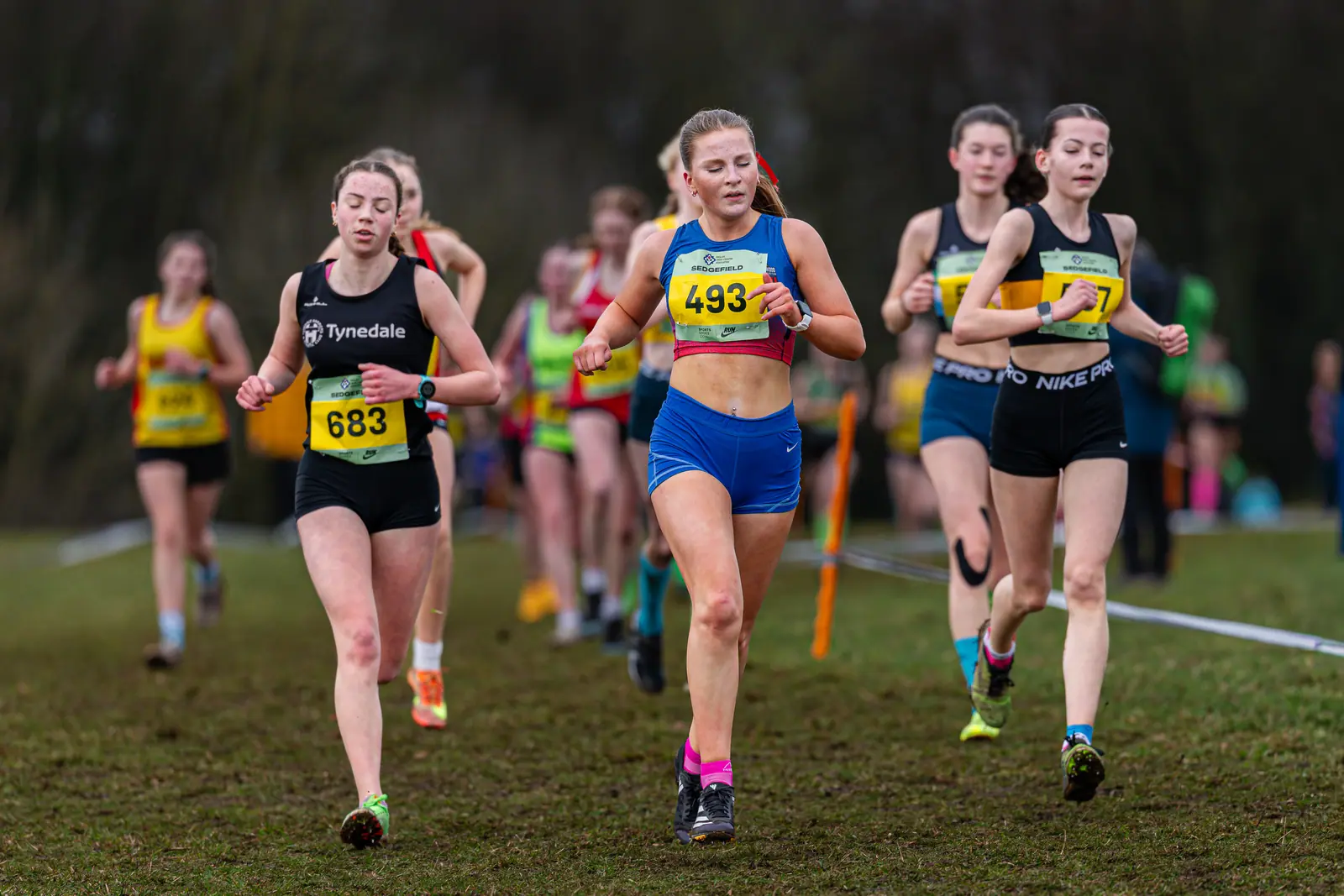 Brentwood Beagles athletes at the English Cross Country Association National Cross Country Championships, Sedgefield, 21 February 2026