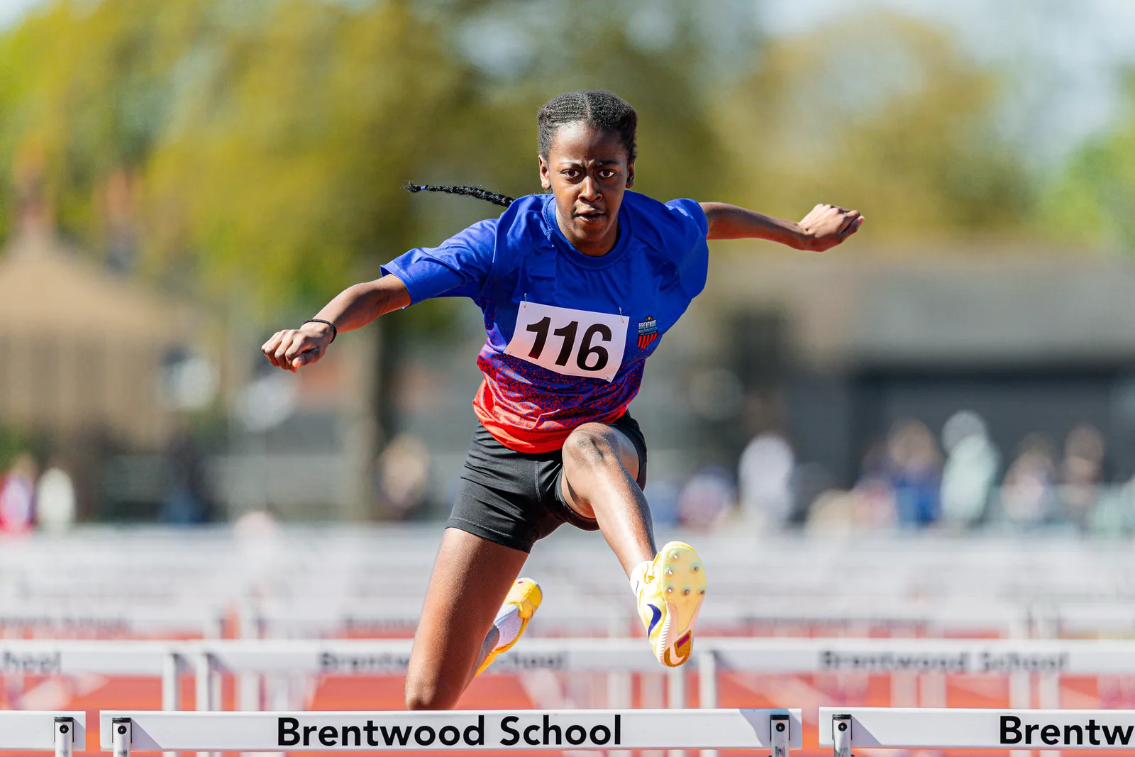 Brentwood Beagles athletes at the Brentwood Beagles AC Club Championships, 20 April 2026