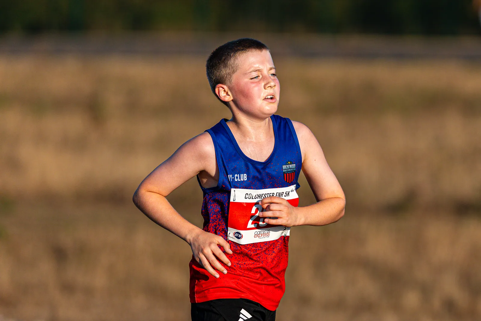 Brentwood Beagles athletes at the Colchester Friday Night 5K / Essex 5K Championships, Colchester, 7 August 2026