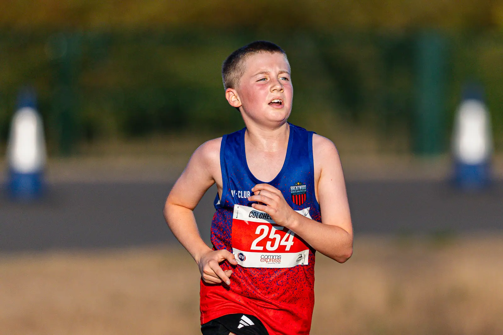 Brentwood Beagles athletes at the Colchester Friday Night 5K / Essex 5K Championships, Colchester, 7 August 2026