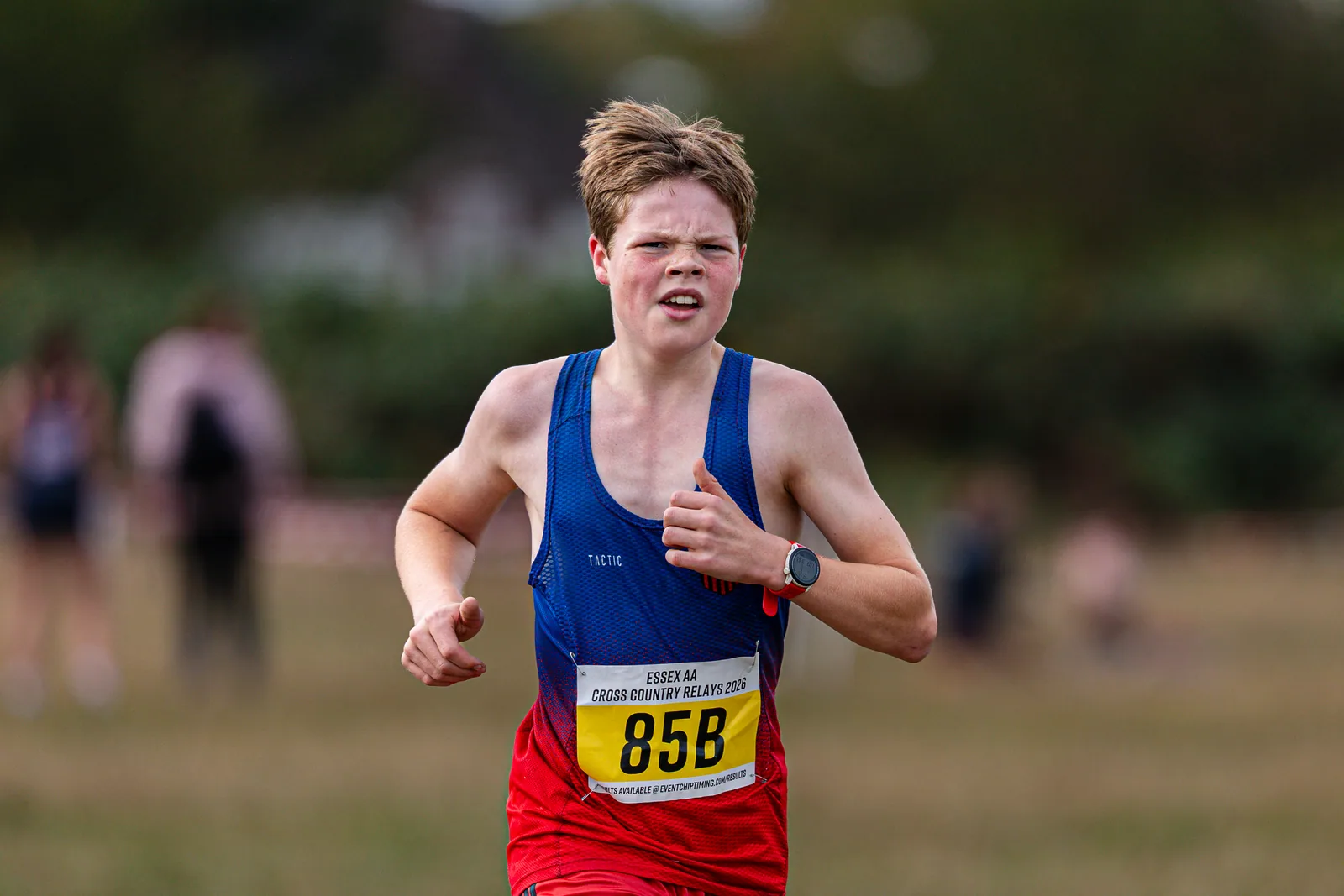 Brentwood Beagles athletes at the Essex Cross Country Relays, 19 September 2026