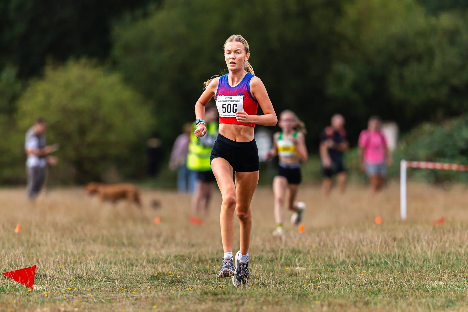 Brentwood Beagles athletes at the Essex Cross Country Relays, 19 September 2026